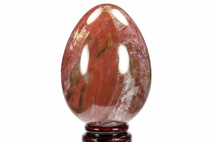 Colorful, Polished Petrified Wood Egg - Triassic #133930
